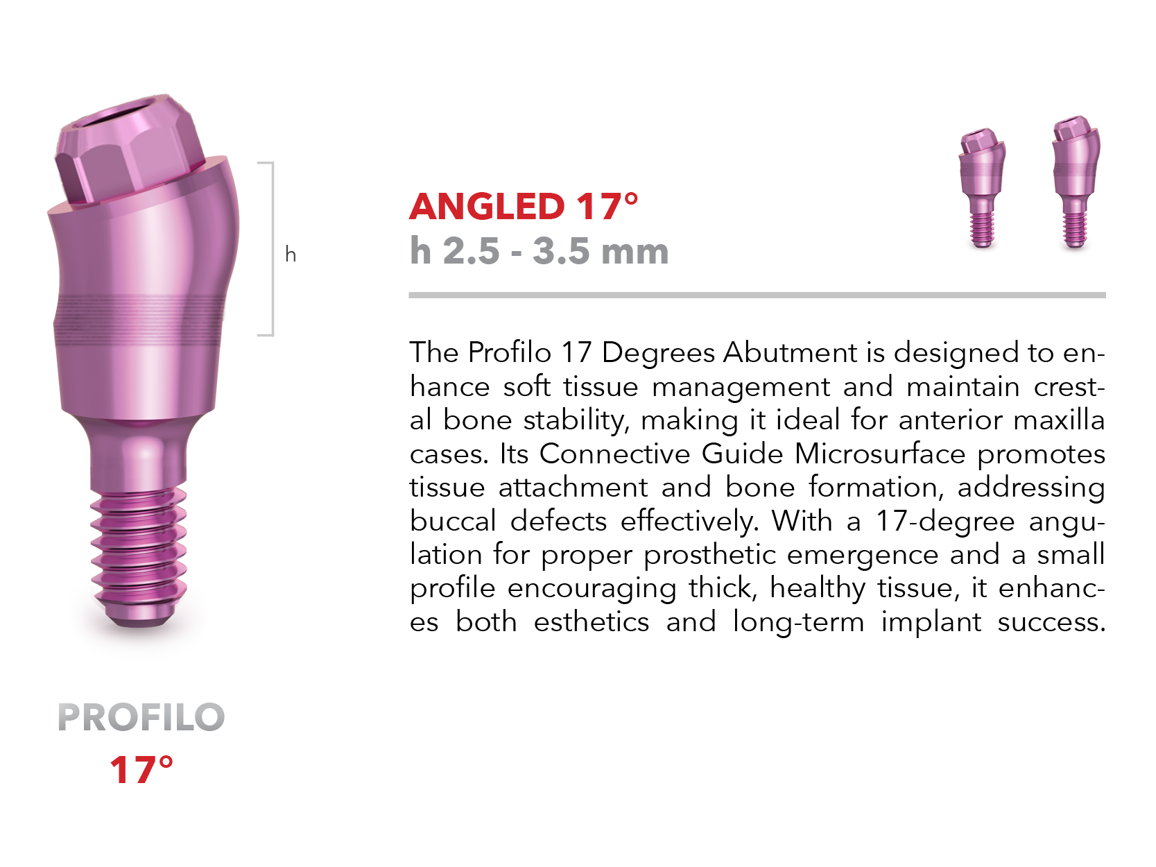 Profilo abutment - Angled 17°