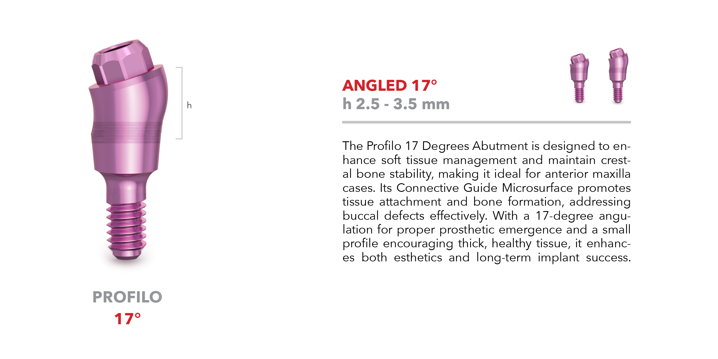 Profilo abutment - Angled 17°